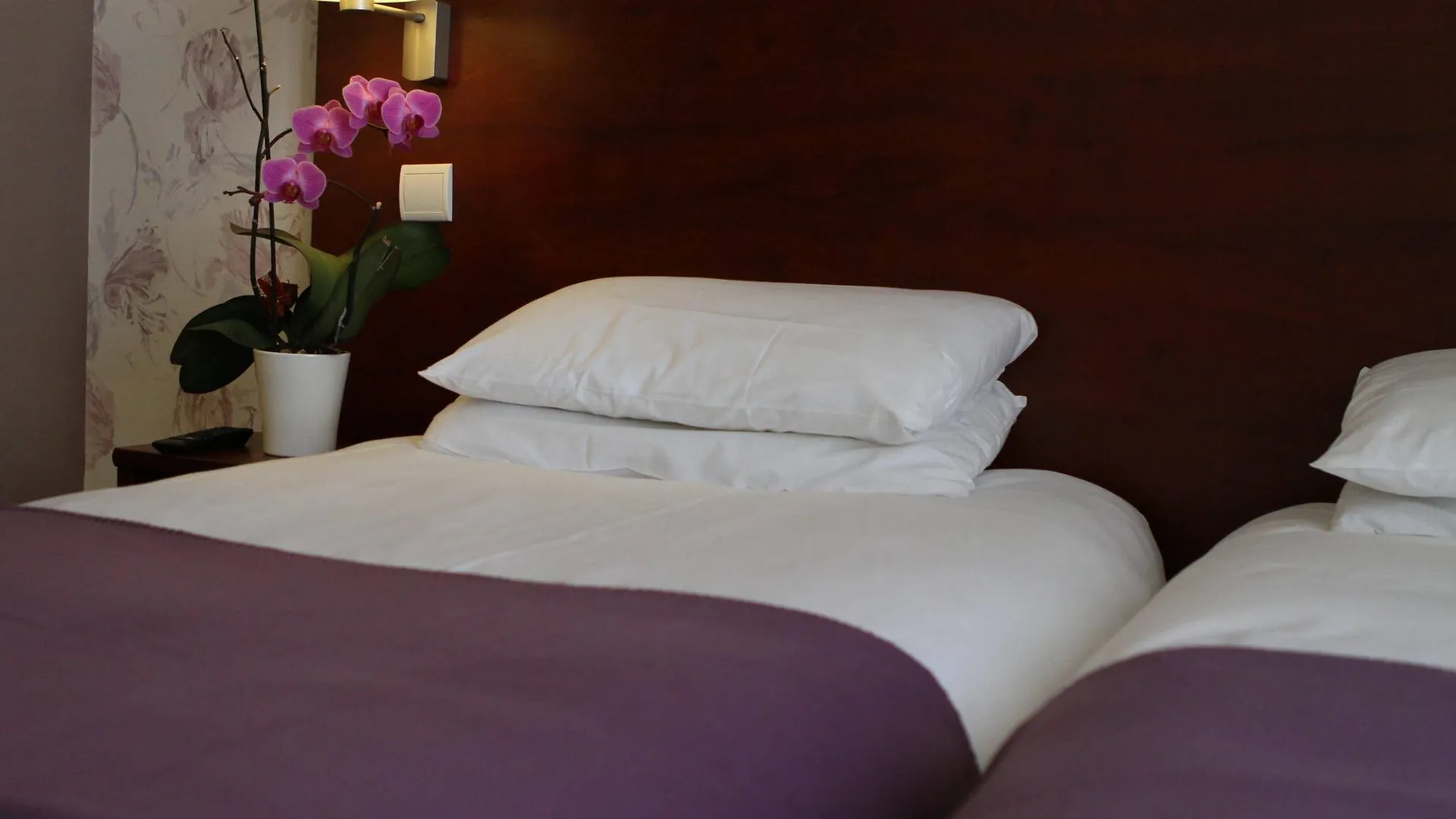 Hotel Alane Paris